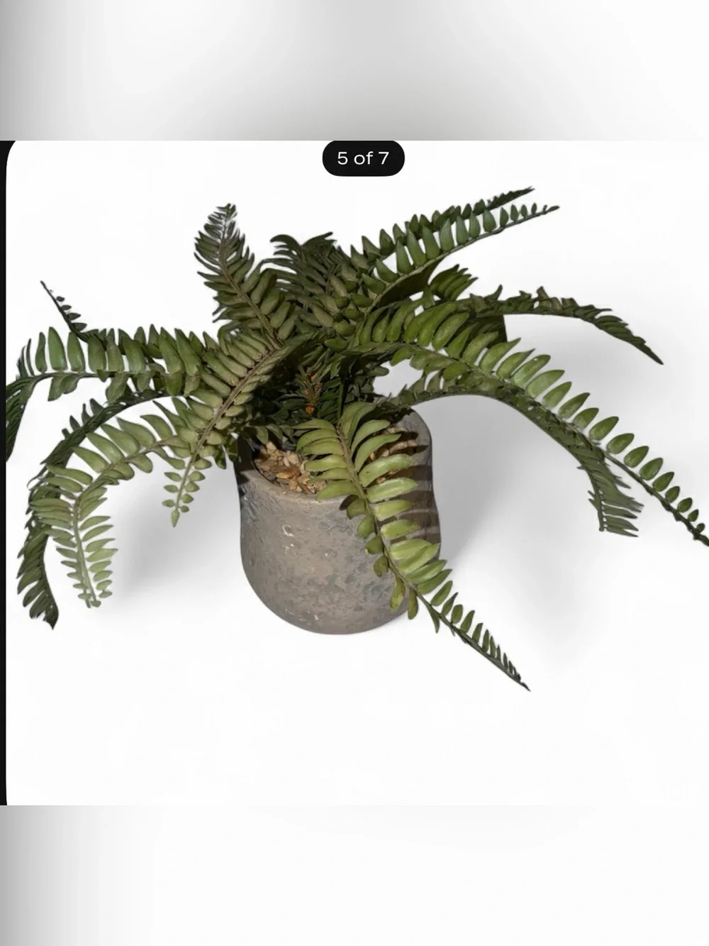 Faux Green Artificial Fern in Rustic Gray Planter - Home Accents